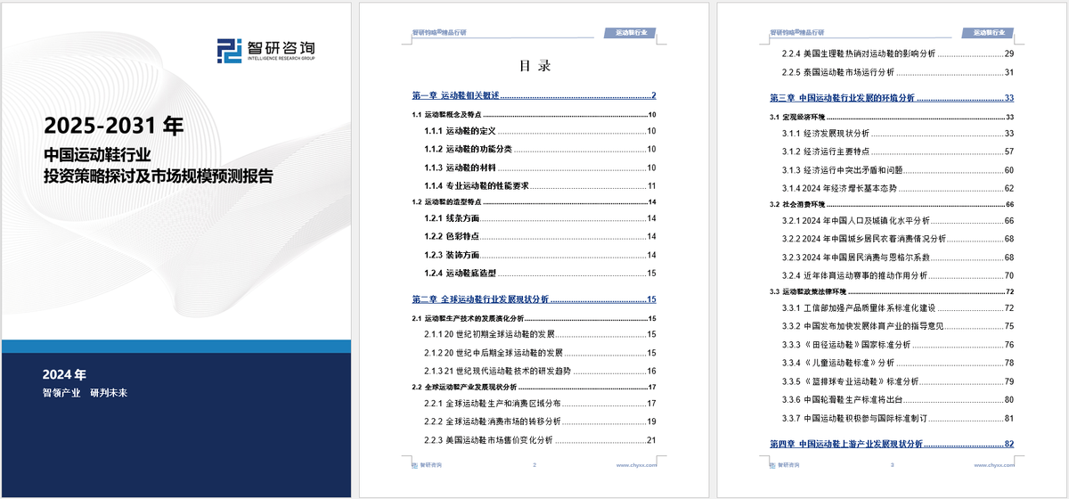 投资前景研究报告（2025-2031年）bsport体育中国运动鞋行业发展现状及(图2)